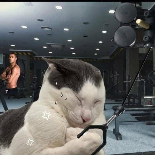 PANEN99 x Alfonso Ramos - Desain Mastermind Identitas Brand Profesional image 1